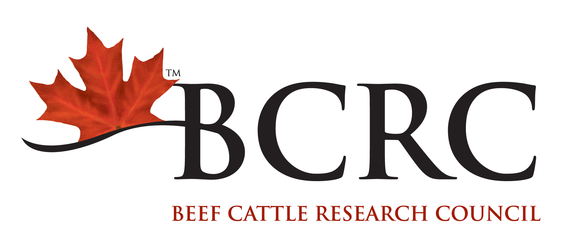 Beef Cattle Research Council logo