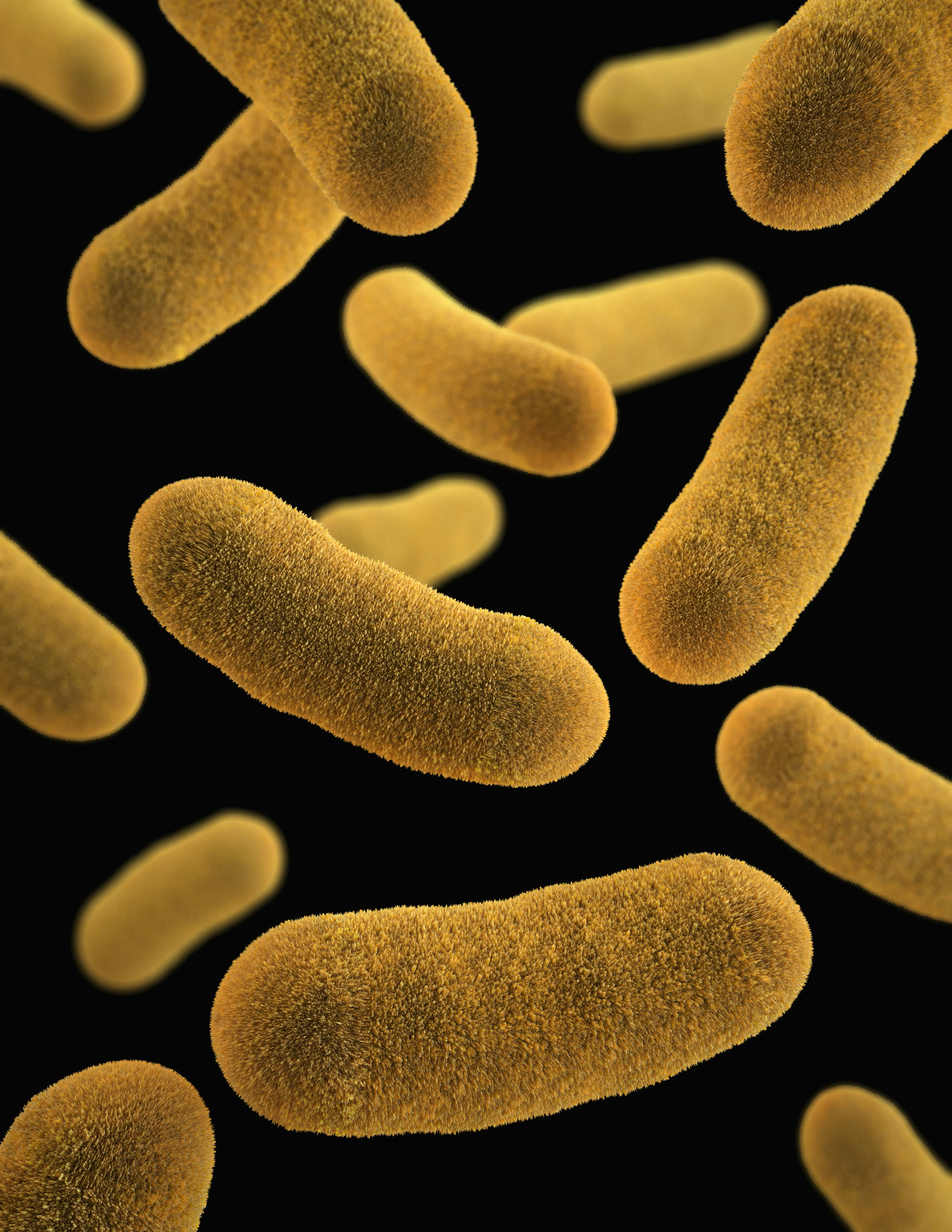 Bacterial data